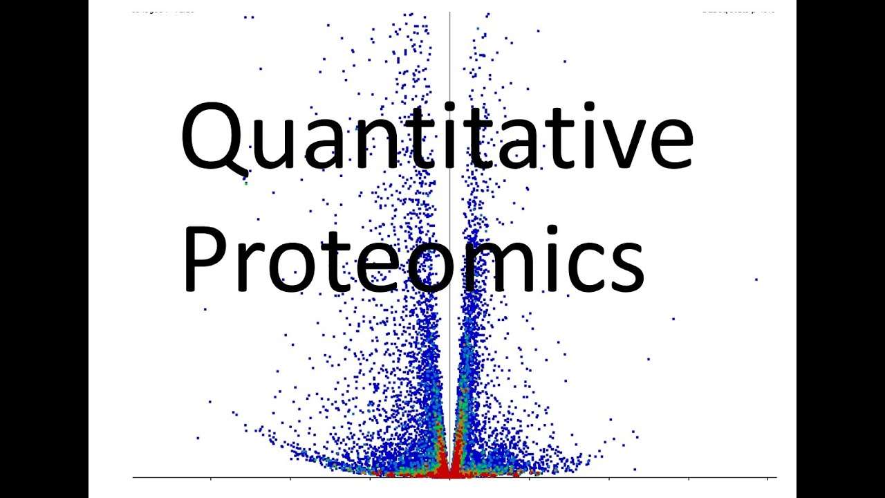 4  Quantitative Proteomics