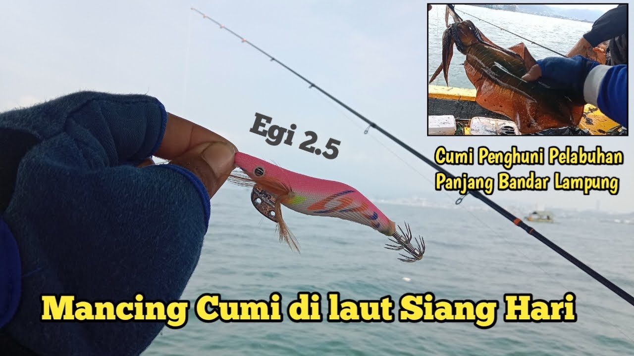 Mancing cumi di pelabuhan panjang BANDAR LAMPUNG !!! Mancing Cumi di laut Siang Hari