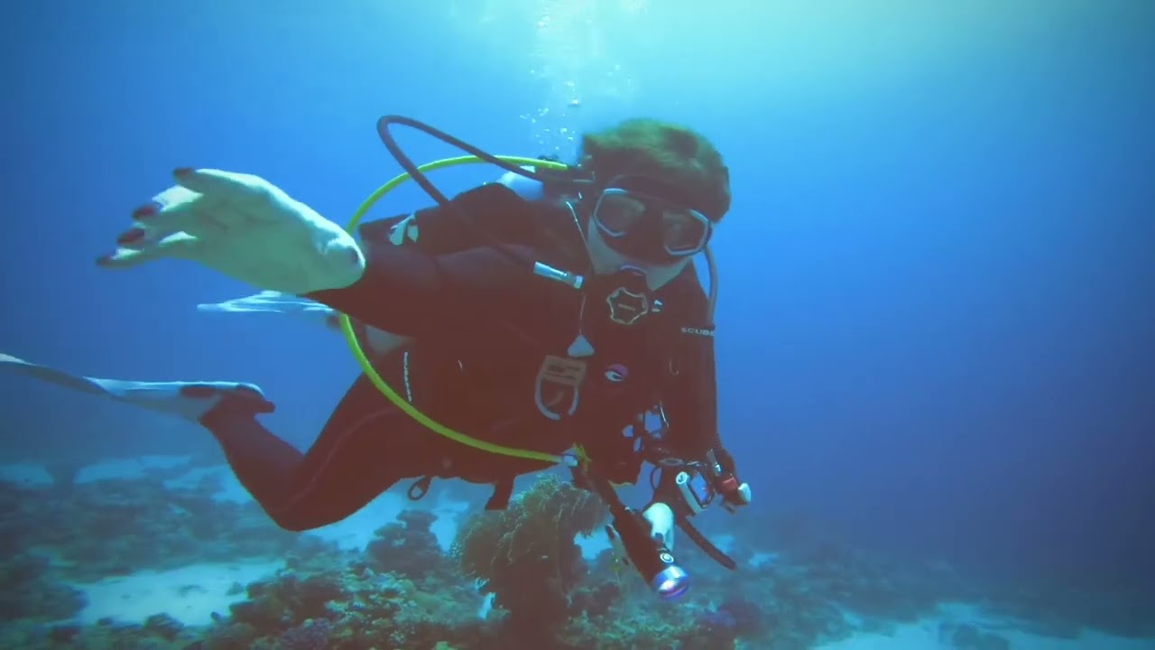 Diving Strait of Tiran reefs