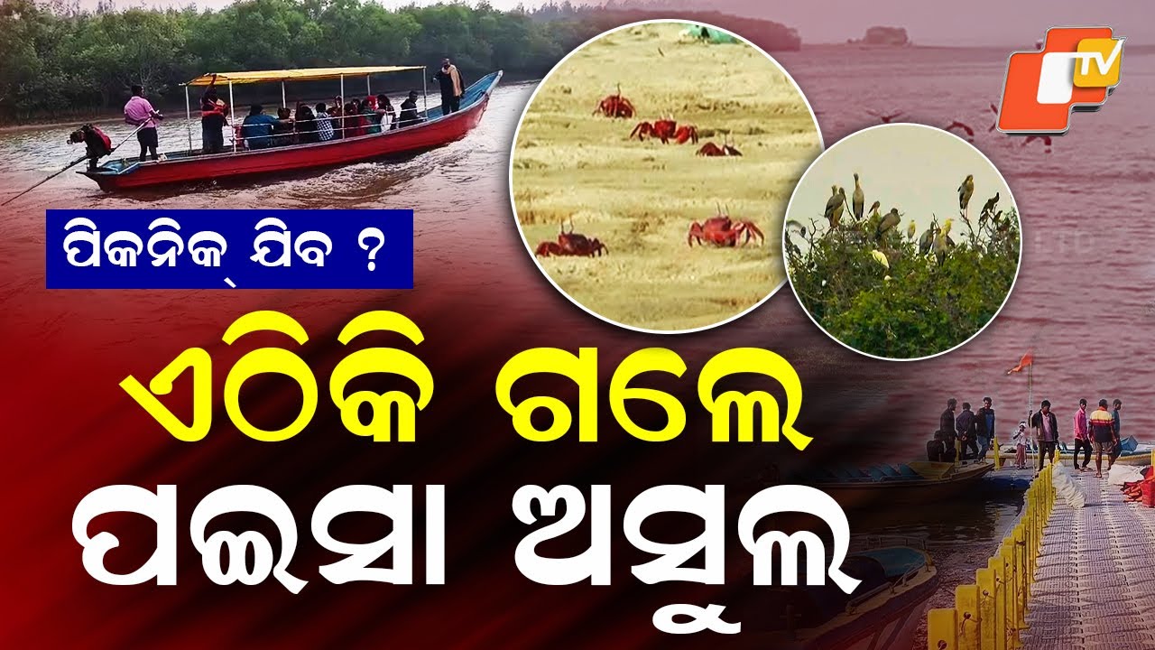 Special Story: Breathtaking Astaranga Nature Spot Draws Tourists — But Infrastructure Missing