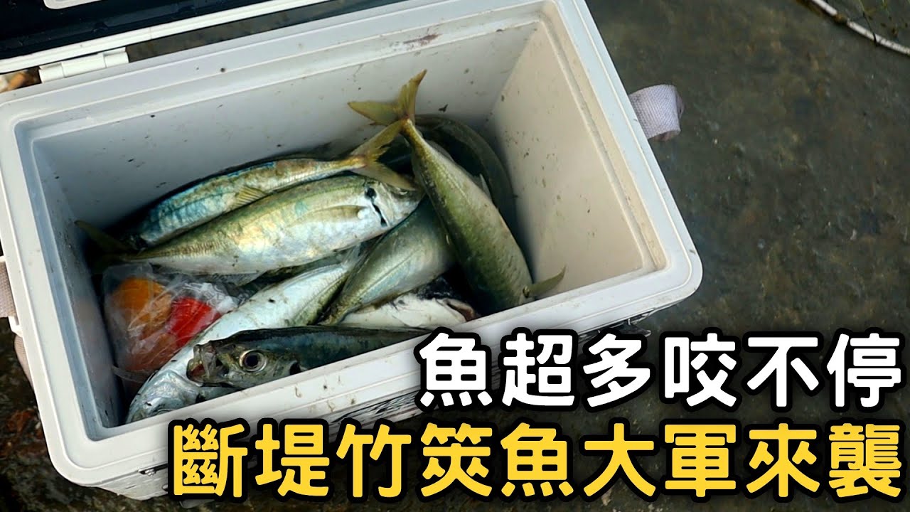 【新竹斷堤】踏上崩毀的堤防，遇上大魚群隨便拉隨便中!! | 2021/03/29 |新竹南寮斷堤 ft.甘那迪
