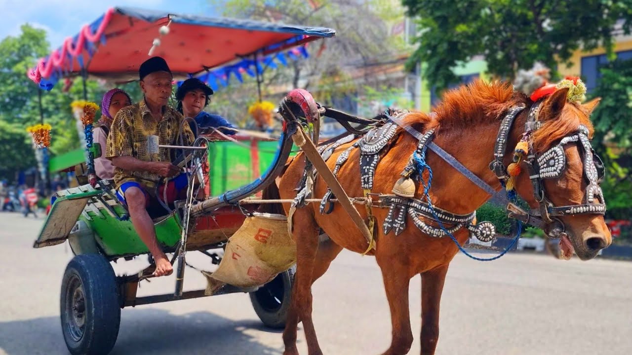 NAIK KUDA ~ KUDA DELMAN ~ ONDEL ONDEL BADUT JOGET ~ LAGU TOPI SAYA BUNDAR ~ NAIK DELMAN ISTIMEWA