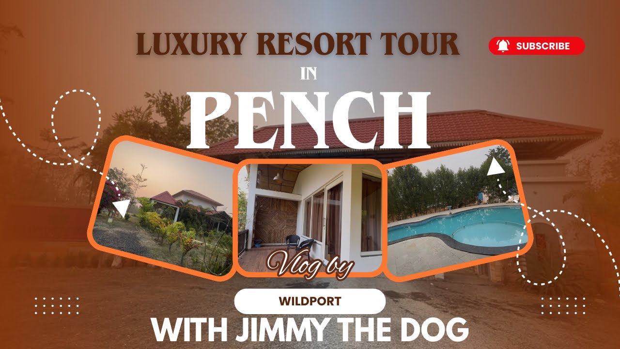 Best place to stay at Luxury Resort in Pench ! Jimmy the Dog giving property tour😇