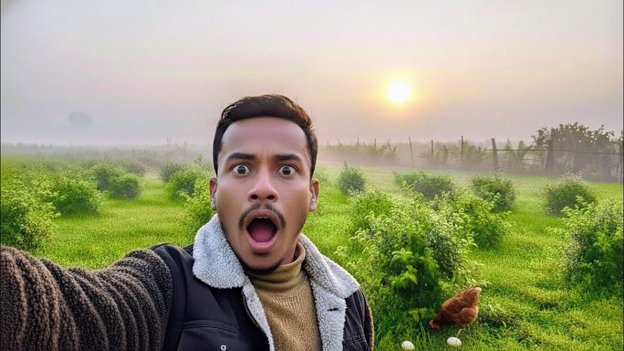 সকালের এমন শান্ত পরিবেশে মনটা হারিয়ে যায়! | Peaceful Morning Serenity!#NatureVibes