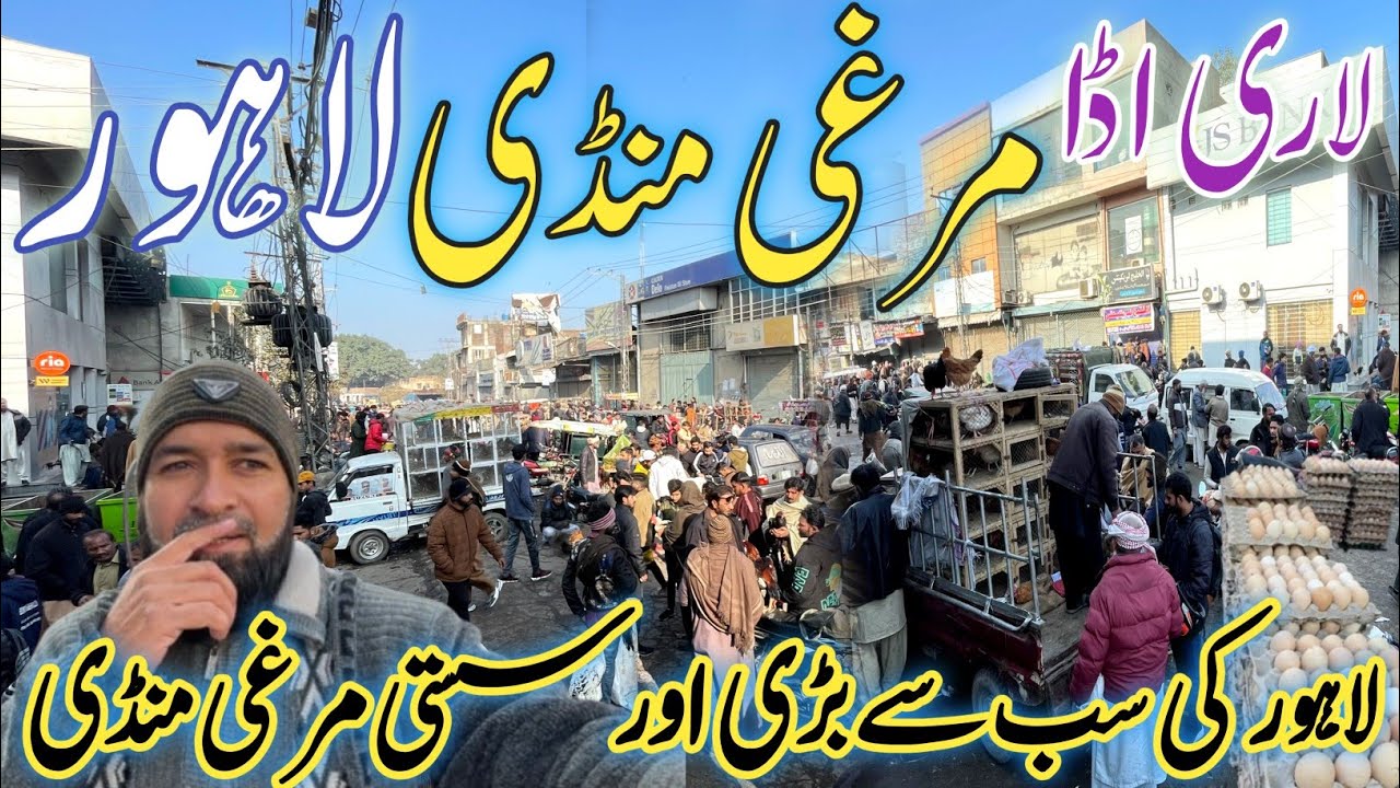 Pure Desi Ando wali murgi Lari Adda Sunday Bazaar Latest Price Update Lahore Pakistan