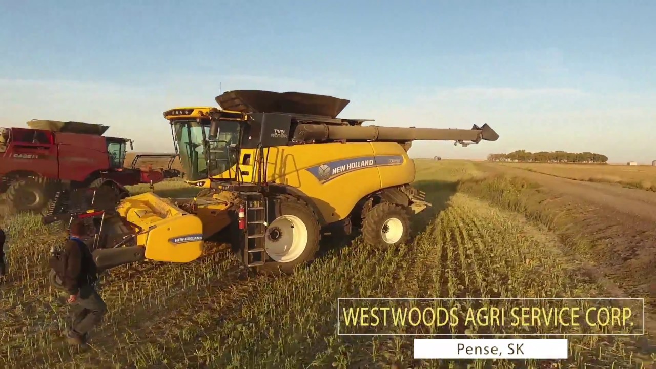 🇨🇦Демонстрация комбайнов New Holland CX8.80 & CR8.90. Саскачеван. Канада глазами украинца.