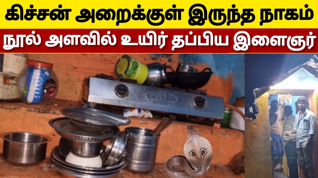 சிக்கித் தவித்த நாகப்பாம்பு | வீட்டிற்குள் நுழையும் போது இதில் மாட்டிக்கொண்ட நல்ல பாம்பு |Snake_Saga