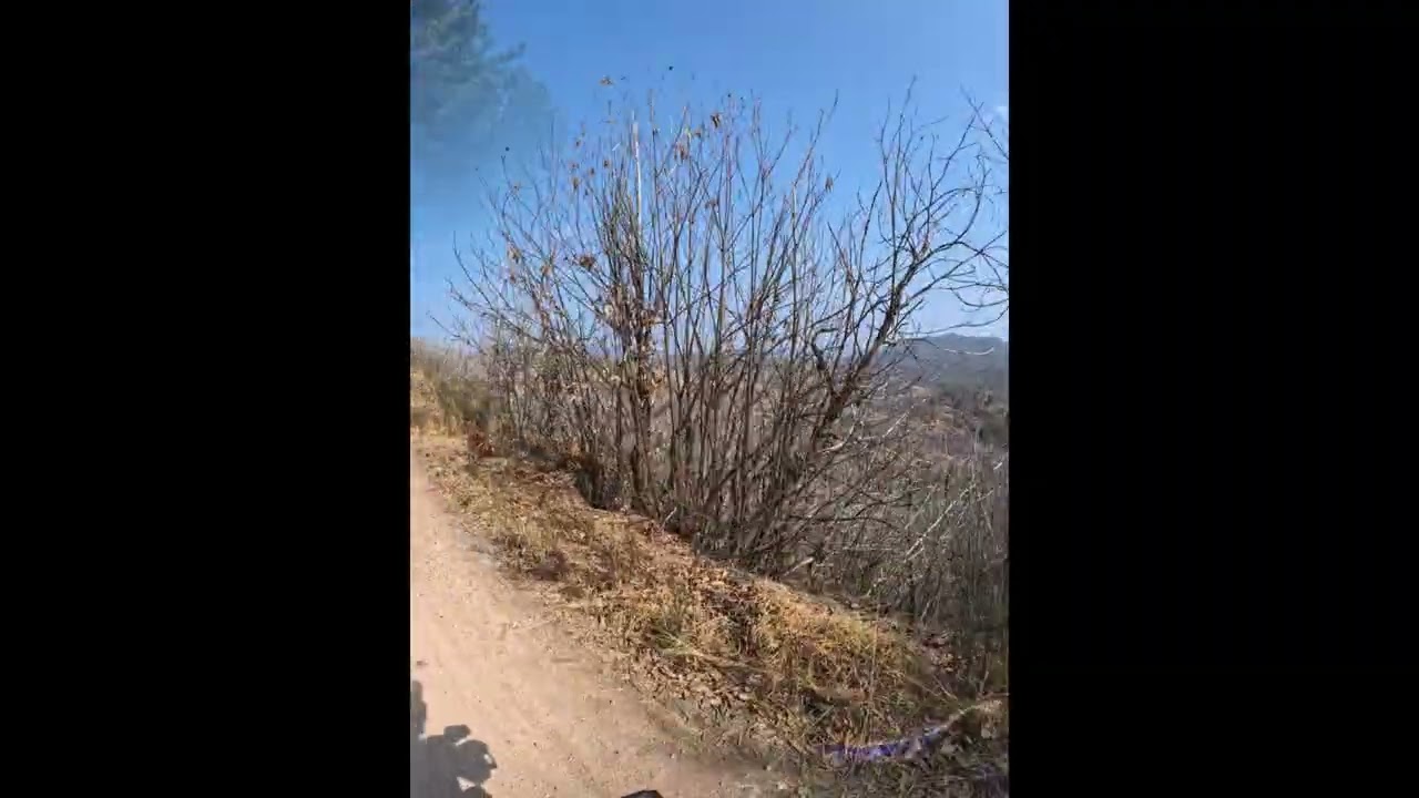 TERRE ROSSE (La strada deserta )