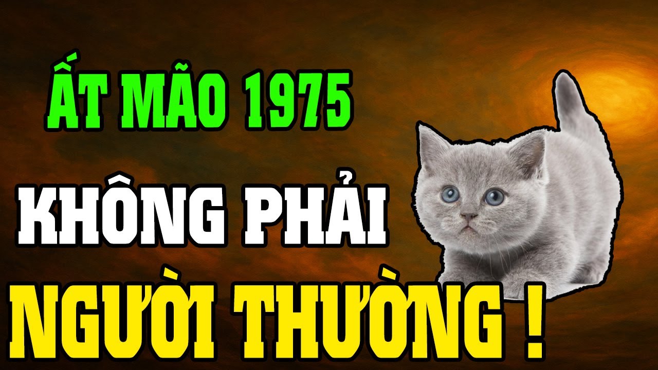 Ất Mão 1975–Cuộc Đời Khổ Vì Có Căn Trả Nghiệp, Nhưng Hậu Vận Là Đại Phúc Nếu Hiểu Được 7 Điều Này