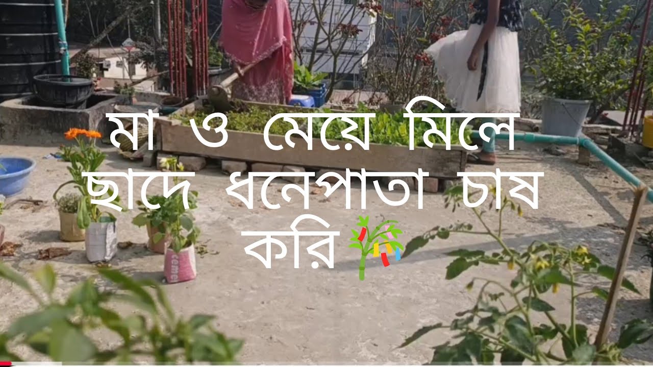মা-মেয়ে মিলে ছাদে কাজ করলাম 
