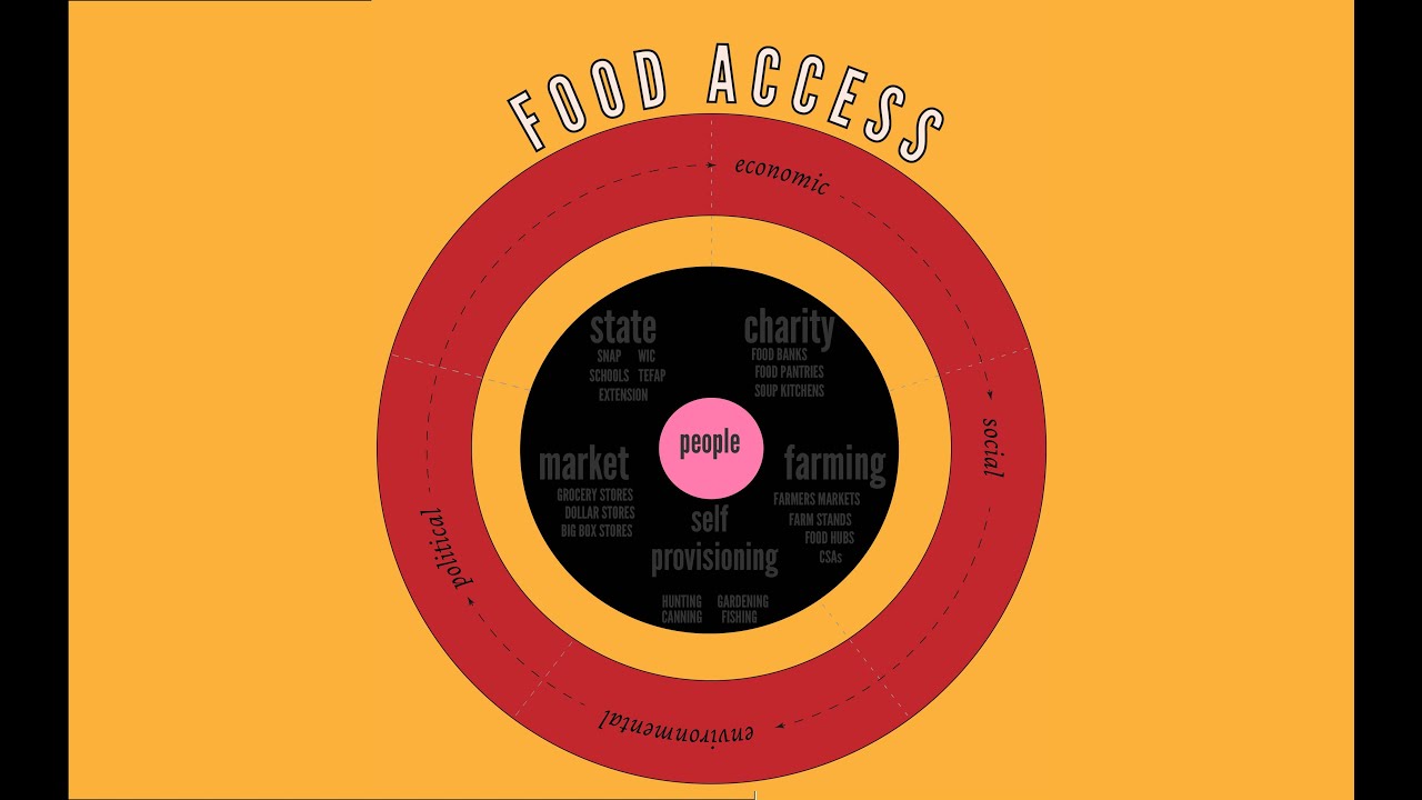 Food Access Barrier: Indirect Factors