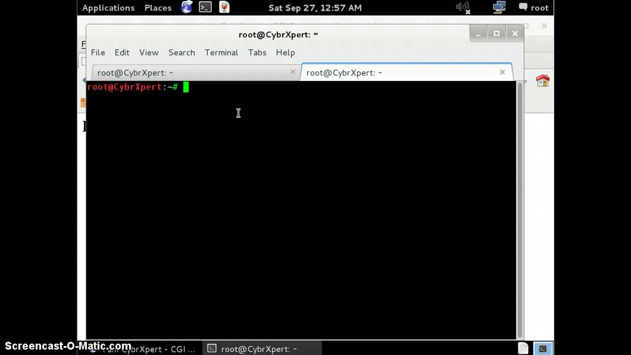 How to Exploit Shell Shock  - CVE-2014-6271 (Bash Bug)