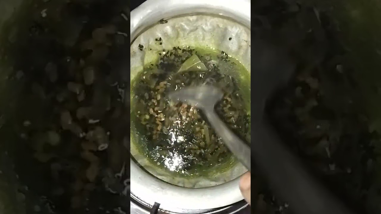 এলভেরা দিয়ে তেল তৈরি করলাম। চুল পড়া, নতুন চুল গজানো, চুল সিলকি ও লম্বা করতে সাহায্য করবে। #viral#