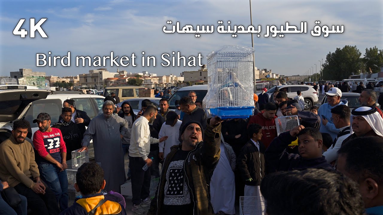 سوق الطيور والحيونات بسيهات   4K Bird and animal market in Bihat