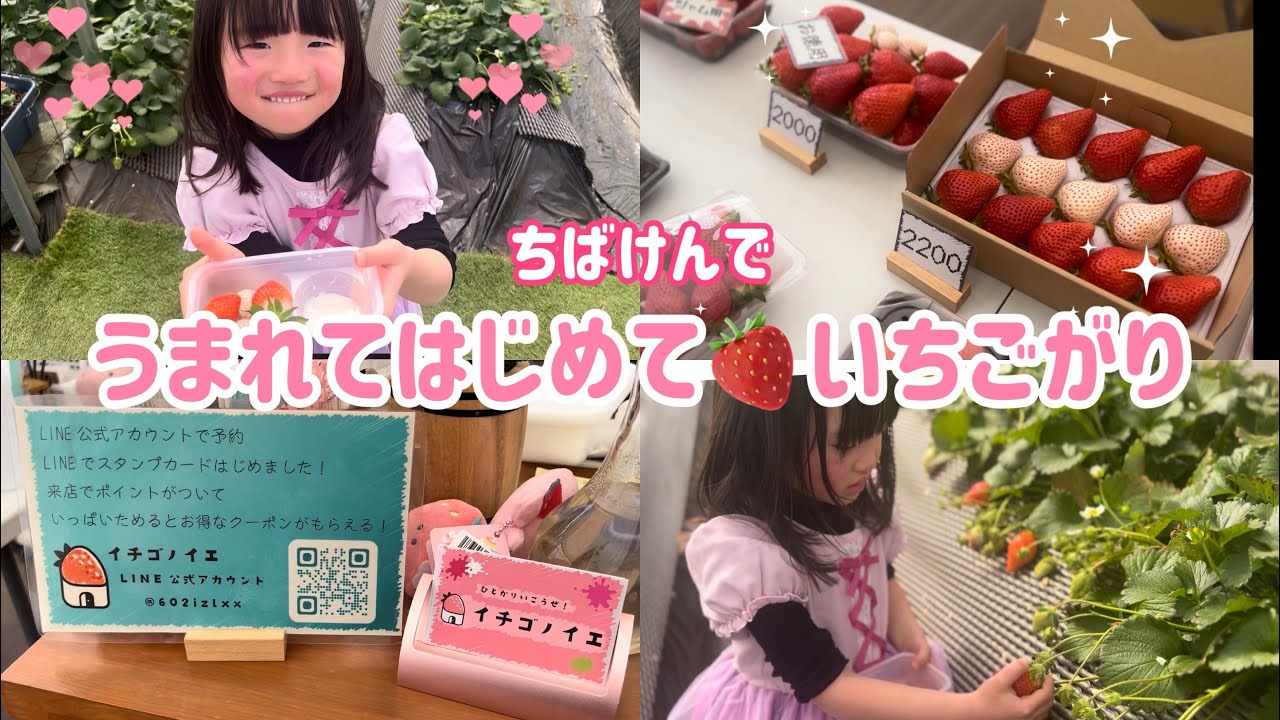 【千葉県】人生初のいちご狩り🍓イチゴノイエさん訪問🏠🍓