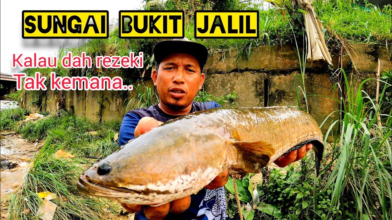 Port PADU Untuk Menjala Talapia/Dapat Haruan Monster #gengdunia