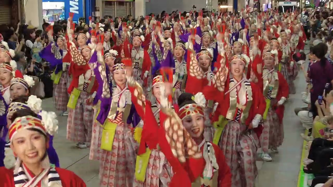 ほにや 高知よさこい祭り2025 全国大会　帯屋町