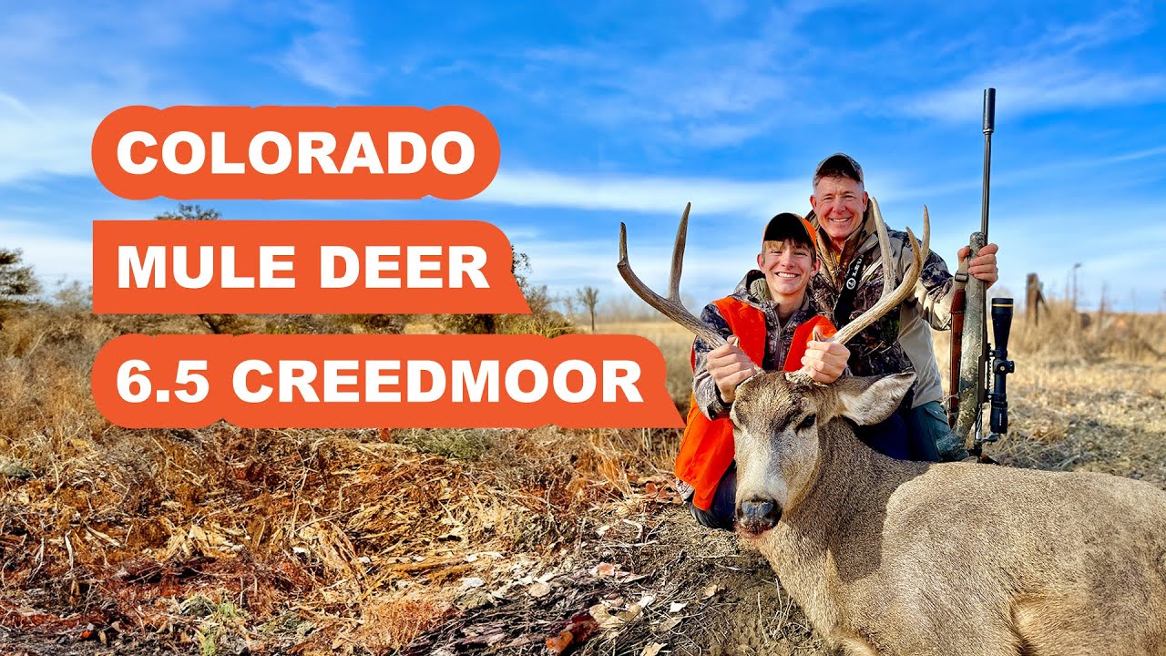 Trent Takes a Nice Mule Deer Buck with his 6.5 Creedmoor