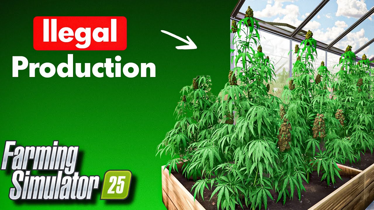 САМЫЕ БЕЗУМНЫЕ фабрики для Farming Simulator 25!