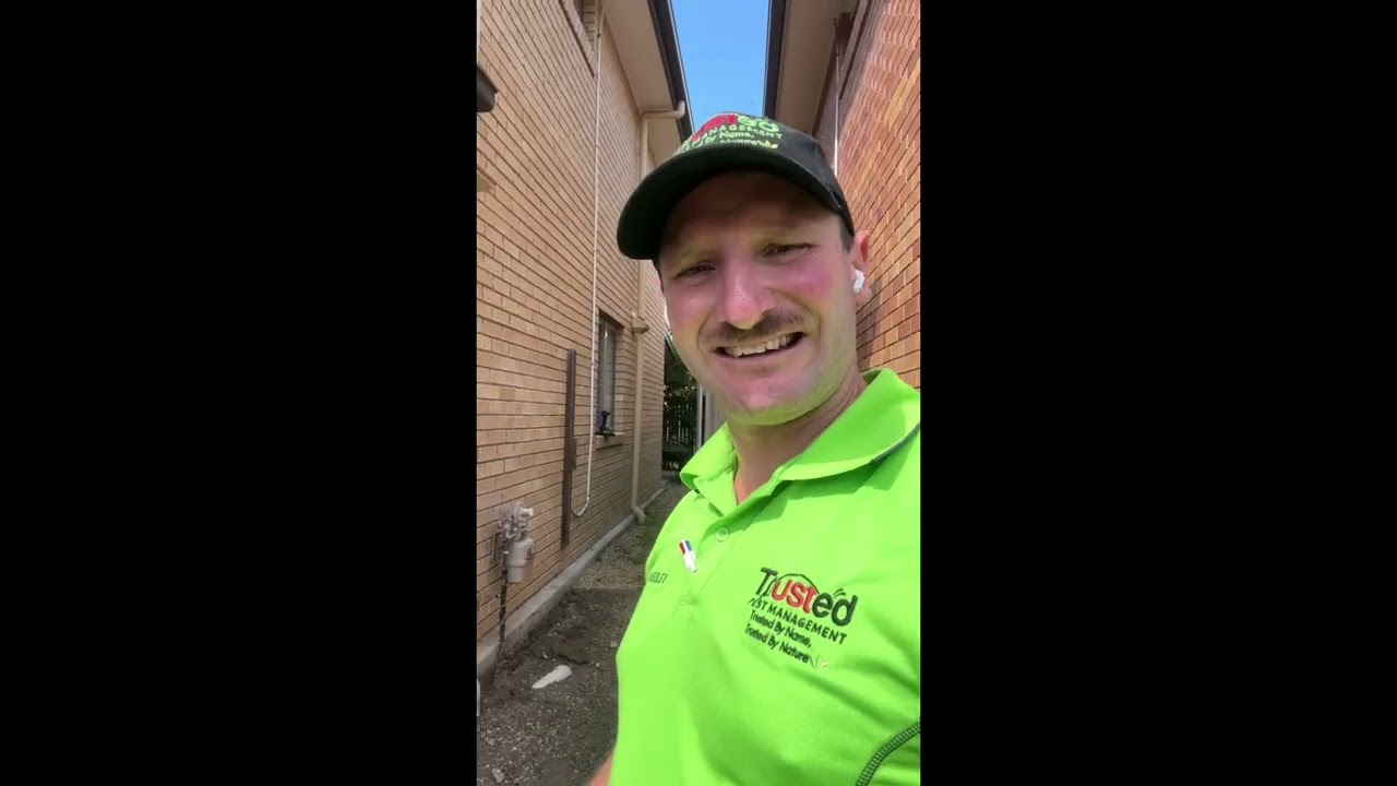 Termite treatment using Termidor HE