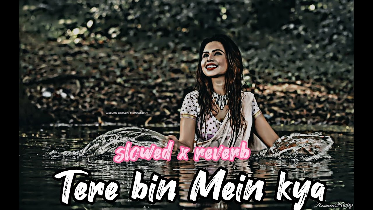 Tere bin Mein kya || old lofi song || #90slofi || lofi reverb romantic song || use headphones 🎧