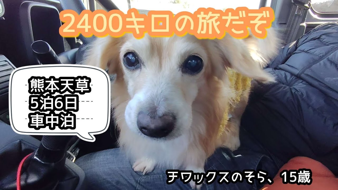 チワックスのそら、熊本に行ってきたよ。青空と海が最高！