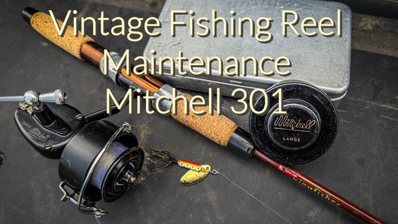 Vintage Fishing Reel Maintenance Mitchell 301