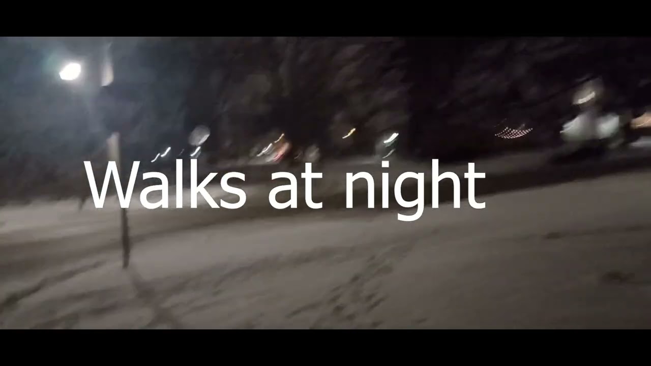 Snow Fall Chicago with Aslam برف باری شکاگو میں اسلم کے ساتھ