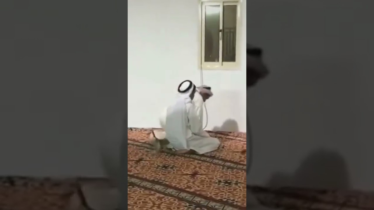 GANGGU ORANG SHALAT AJA || AMADIKETU 