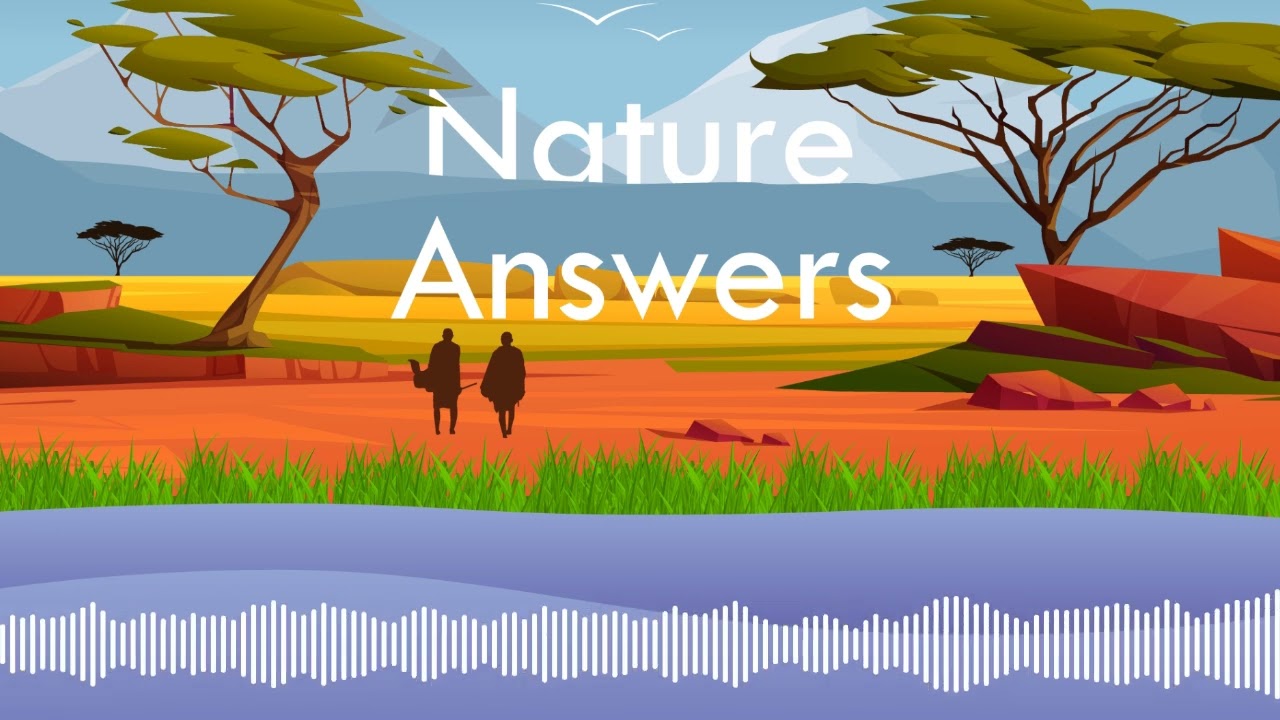 Can planting trees heal a land devastated by civil war
