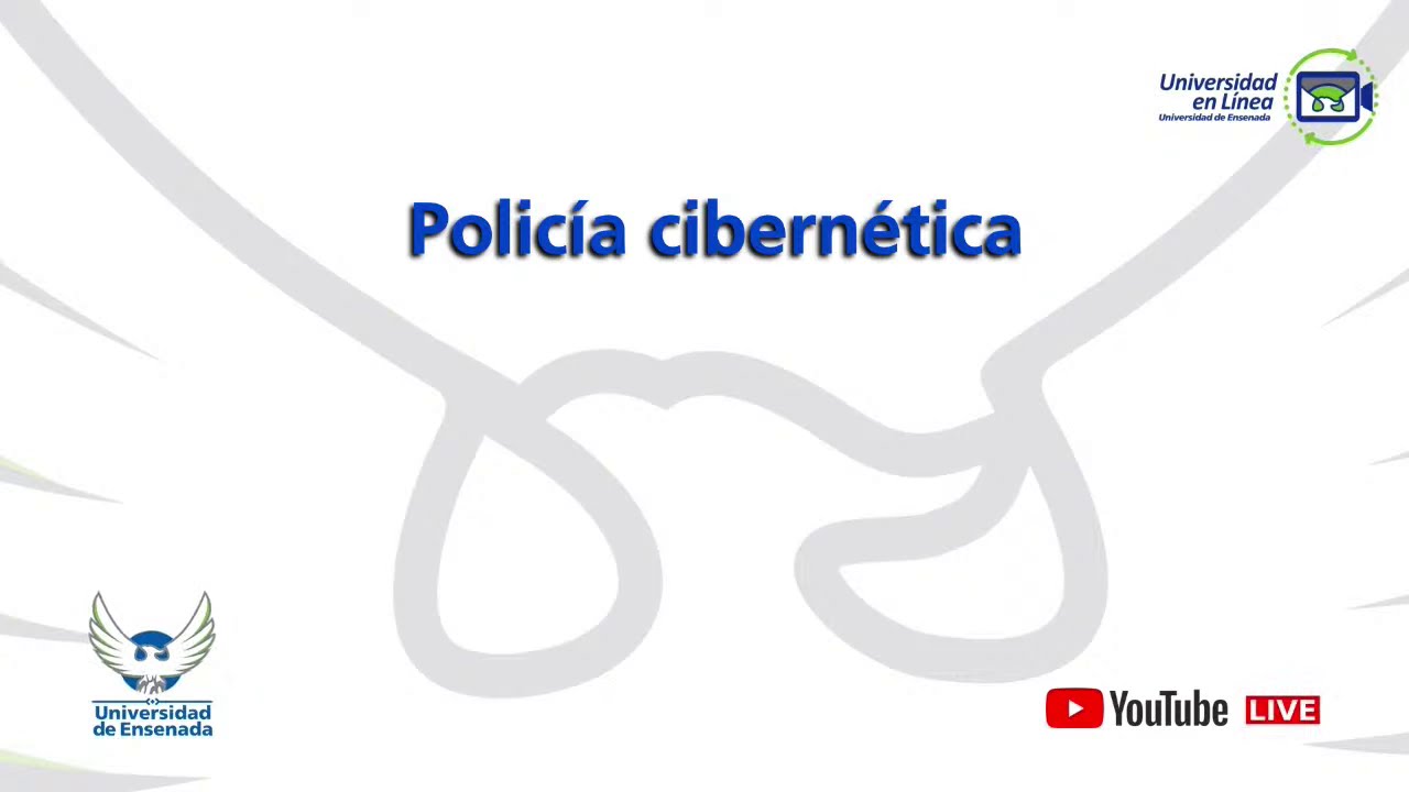 Policía cibernética