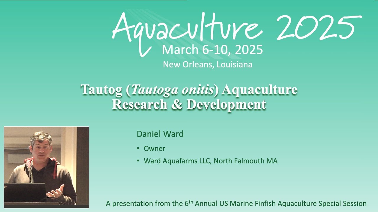 Tautog Aquaculture Research & Development