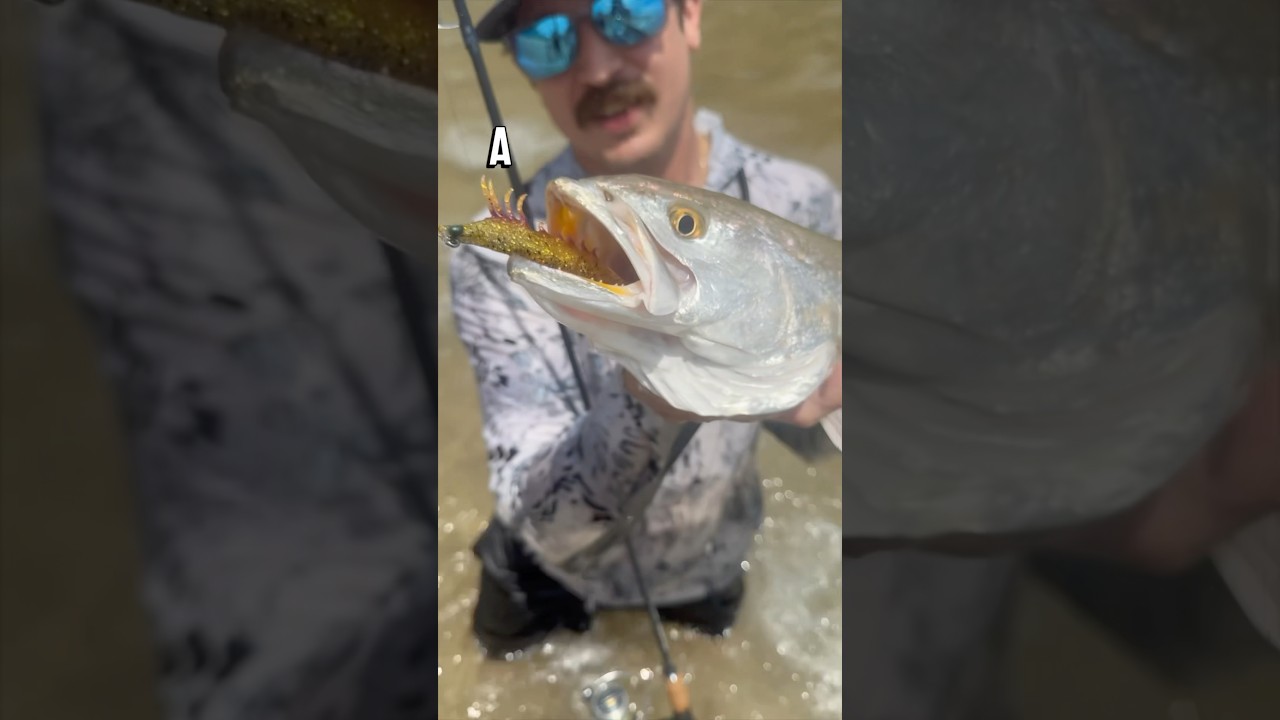 Catching my PB Speckled Trout! #fishing #trout