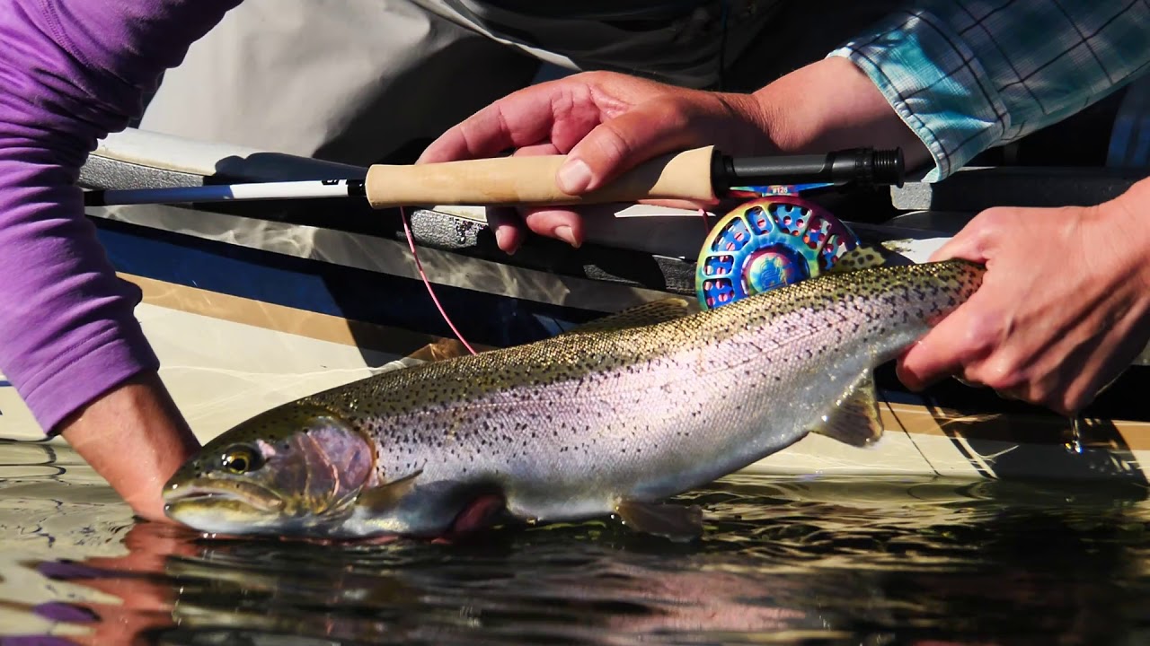 Bow River Fall Hopper-Dropper with Jensen Flyfishing