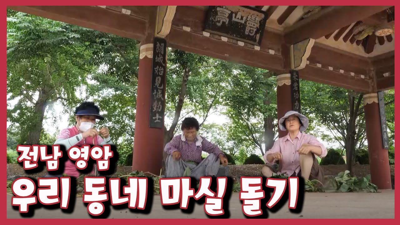 [남도지오그래피] 우리 동네 마실돌기–전남 영암｜KBS 220823 방송