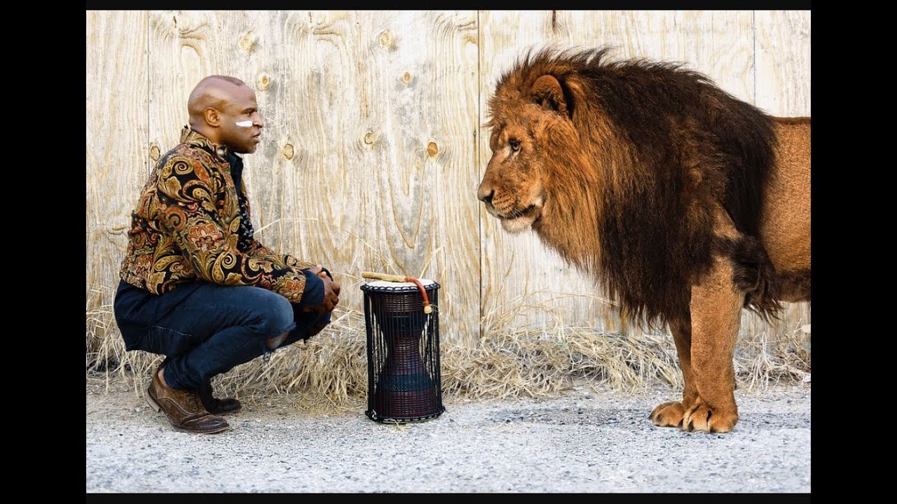 Heart of A Lion - Alex Boye'