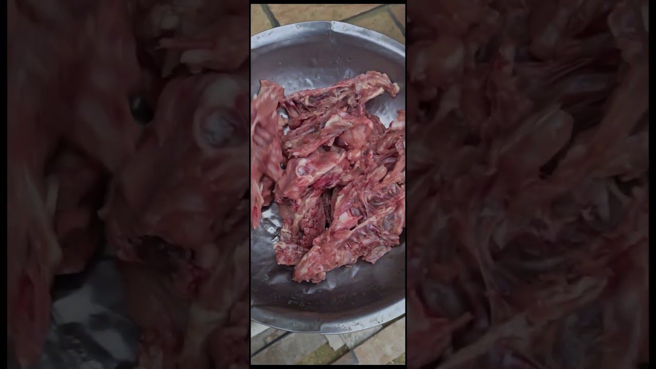 Ваша поддержка в каждой мисочке