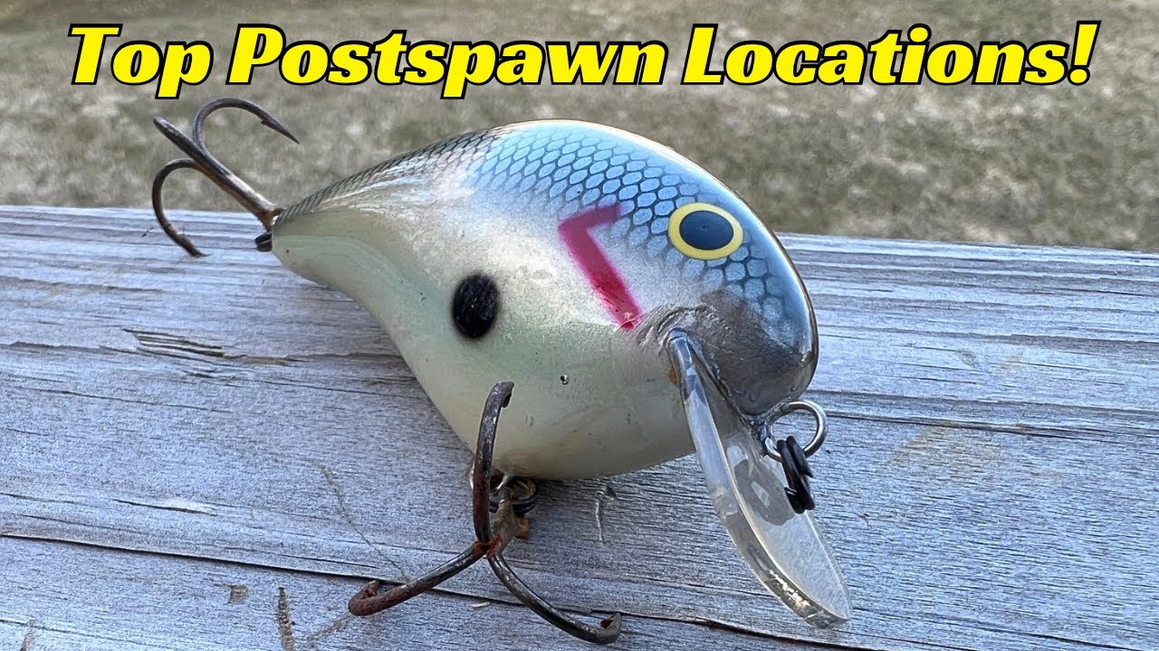 The Best LOCATIONS To Catch POSTSPAWN Bass!