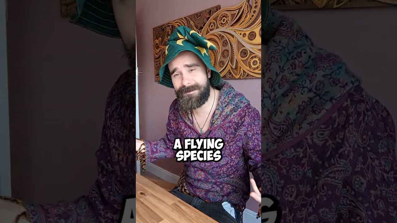 yes, this feat is broken in D&D