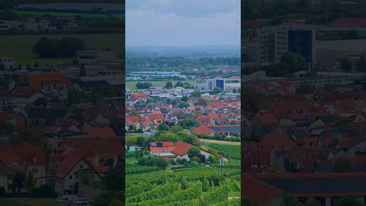 #bodenheim