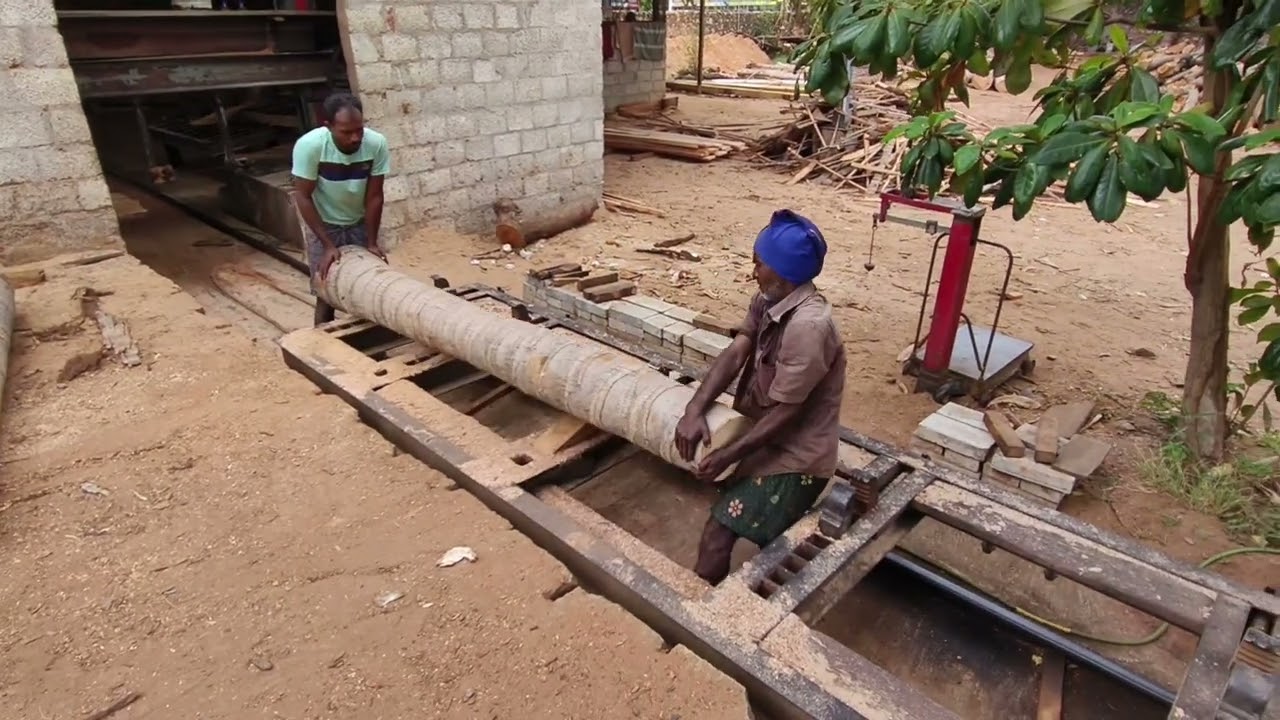 AMAZING WOOD WORKING FACTORY NEW TECHNOLOGY COCONUT WOOD BOARD CUTTING MACHINE SAW MILL