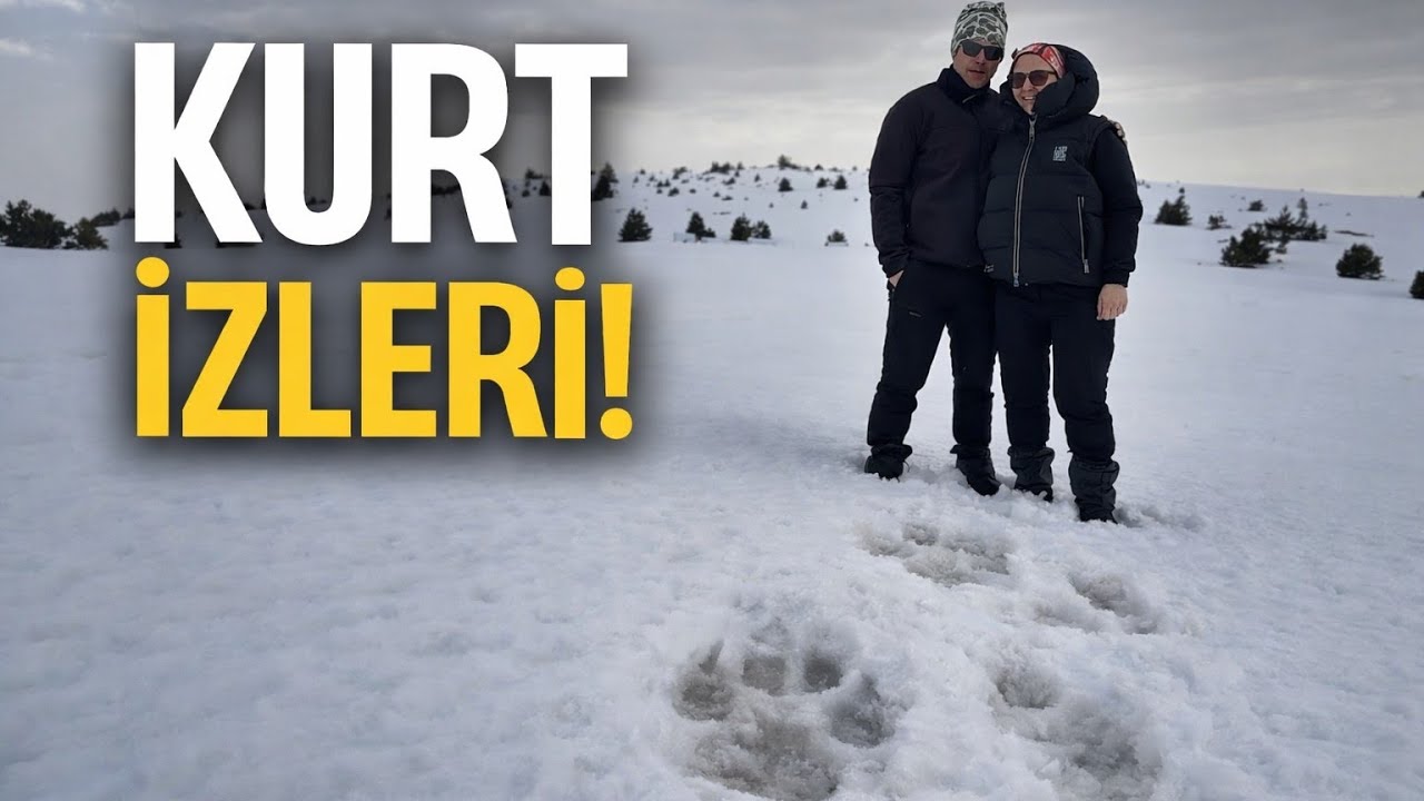 Sarıkız Zirve’de Lodos ve Kurt İzleri | Kaz Dağları Kamp