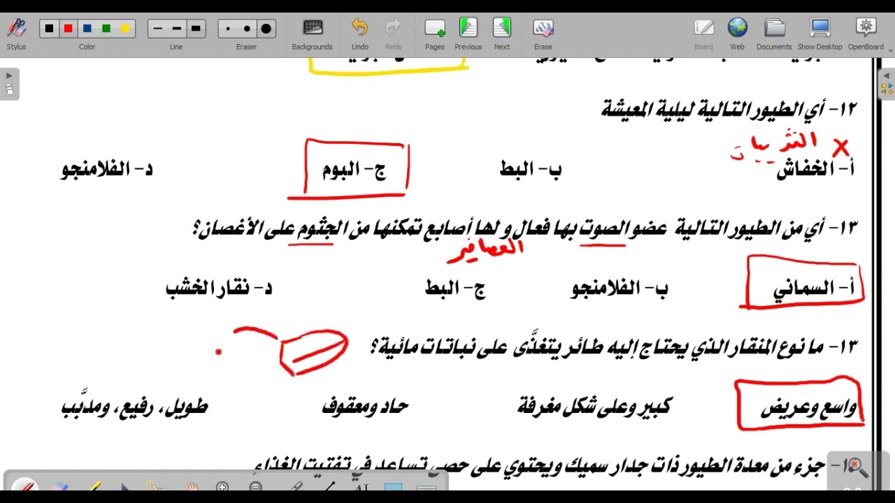 احياء 2 1  اختبار الطيور الدرس الثاني الفصل الثالث أحياء 2 الصف الثاني الثانوي فصل دراسي أول1444هـ