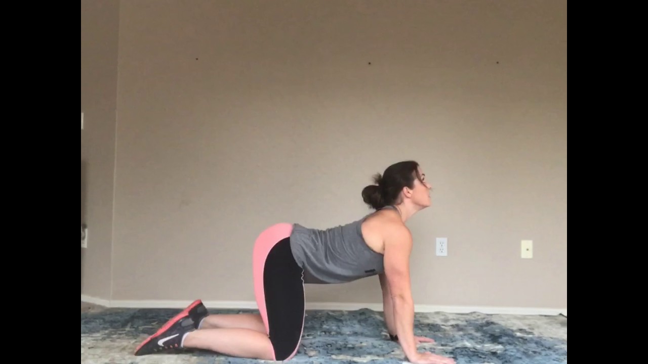 Spinal mobility: cat/camel