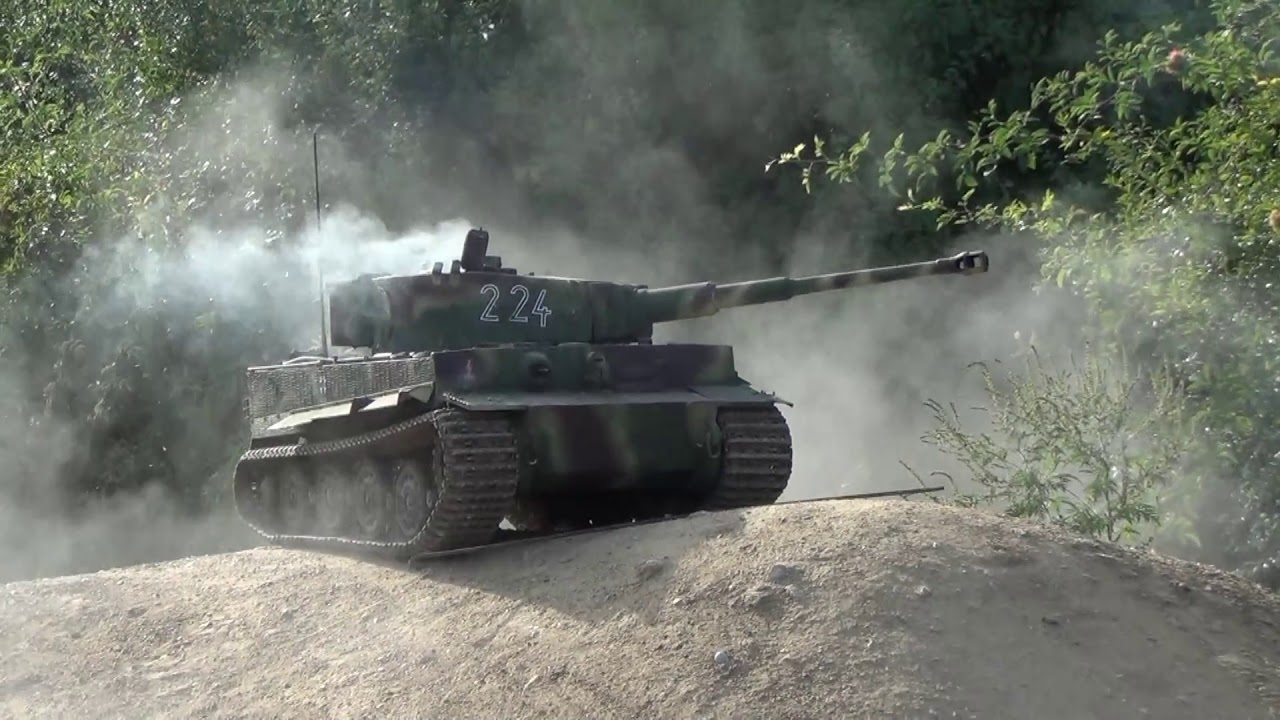 tir calibre 12 d'un tigre rc de 260 kg