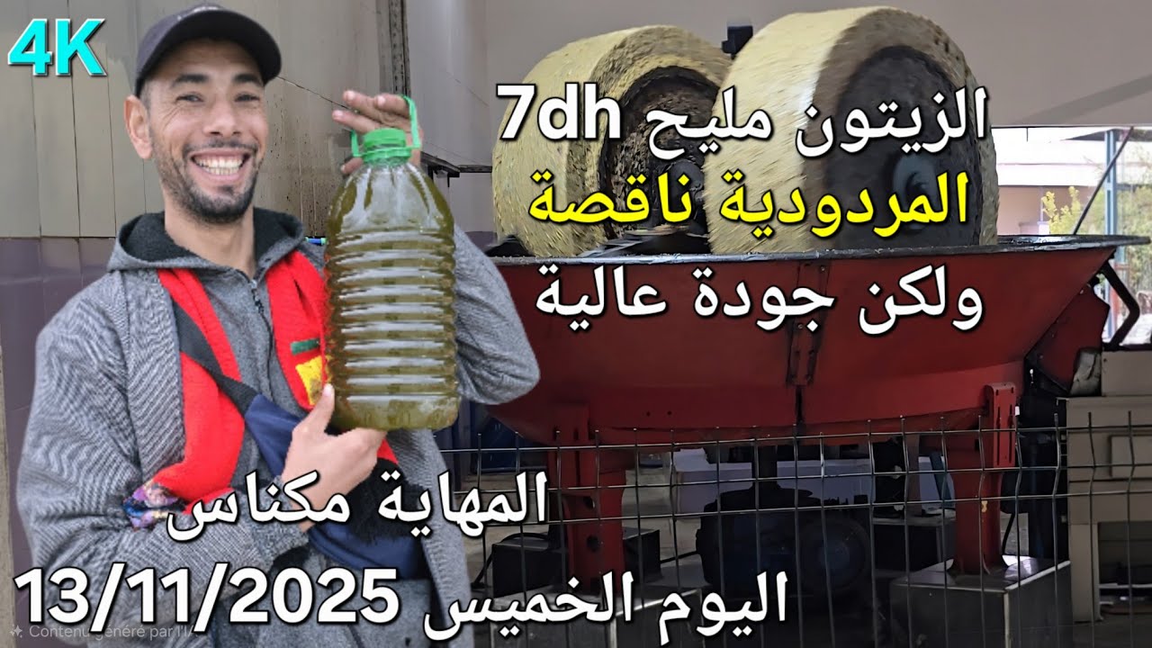 زيت الزيتون البكر الممتاز المهاية مكناس اليوم الخميس 13/11/2025