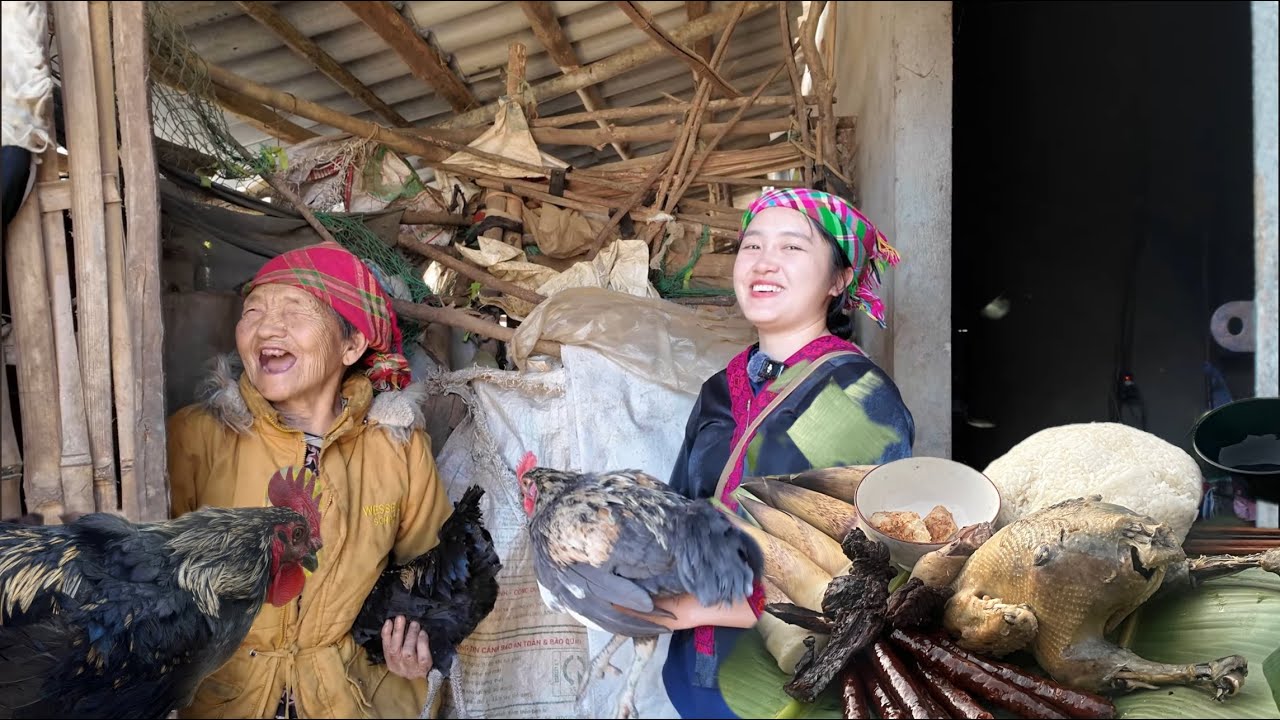 Ái Mí Lên Bản Lấy Gà Đen Gặp Bà Cụ Mù Nuôi 13 con Gà 