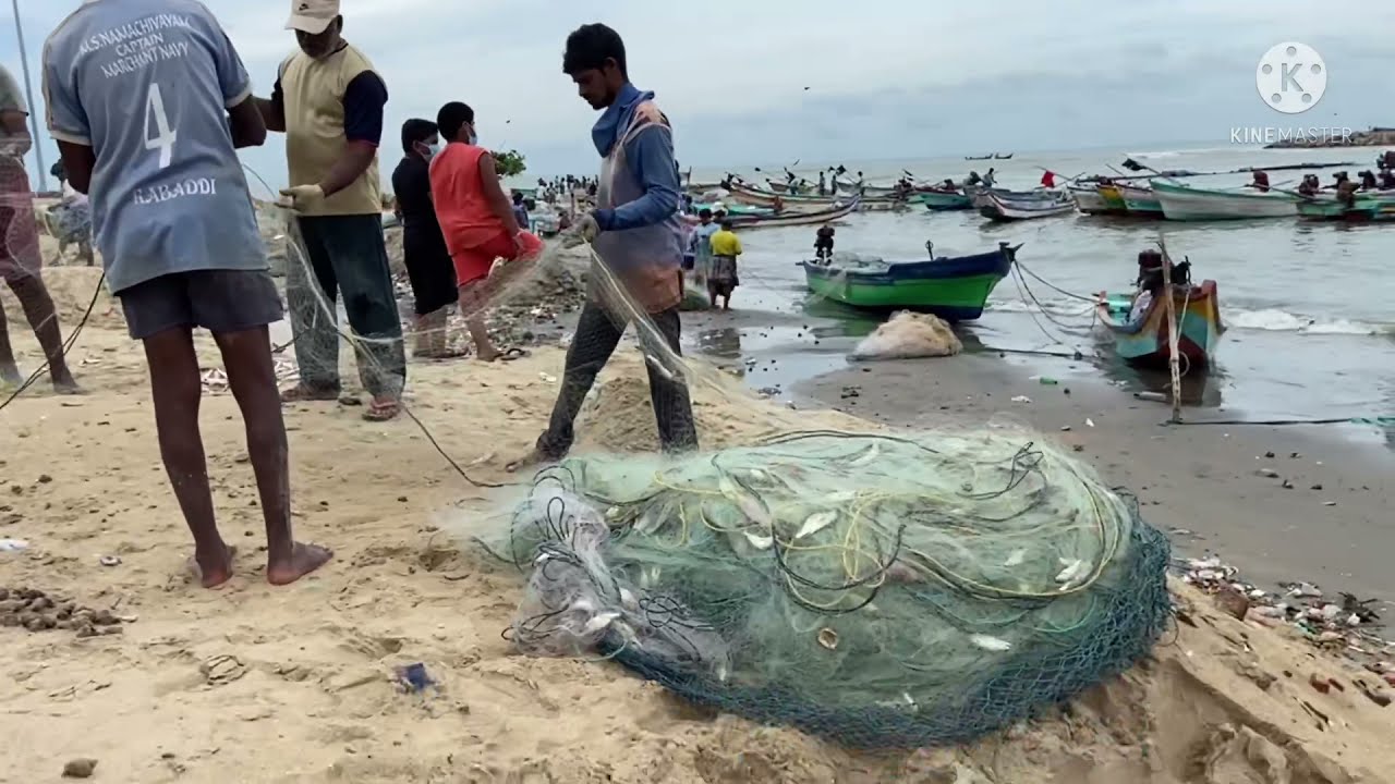 கடற்கரையில் மீன் வாங்கவோமா?velankanni beach, buy the fish
