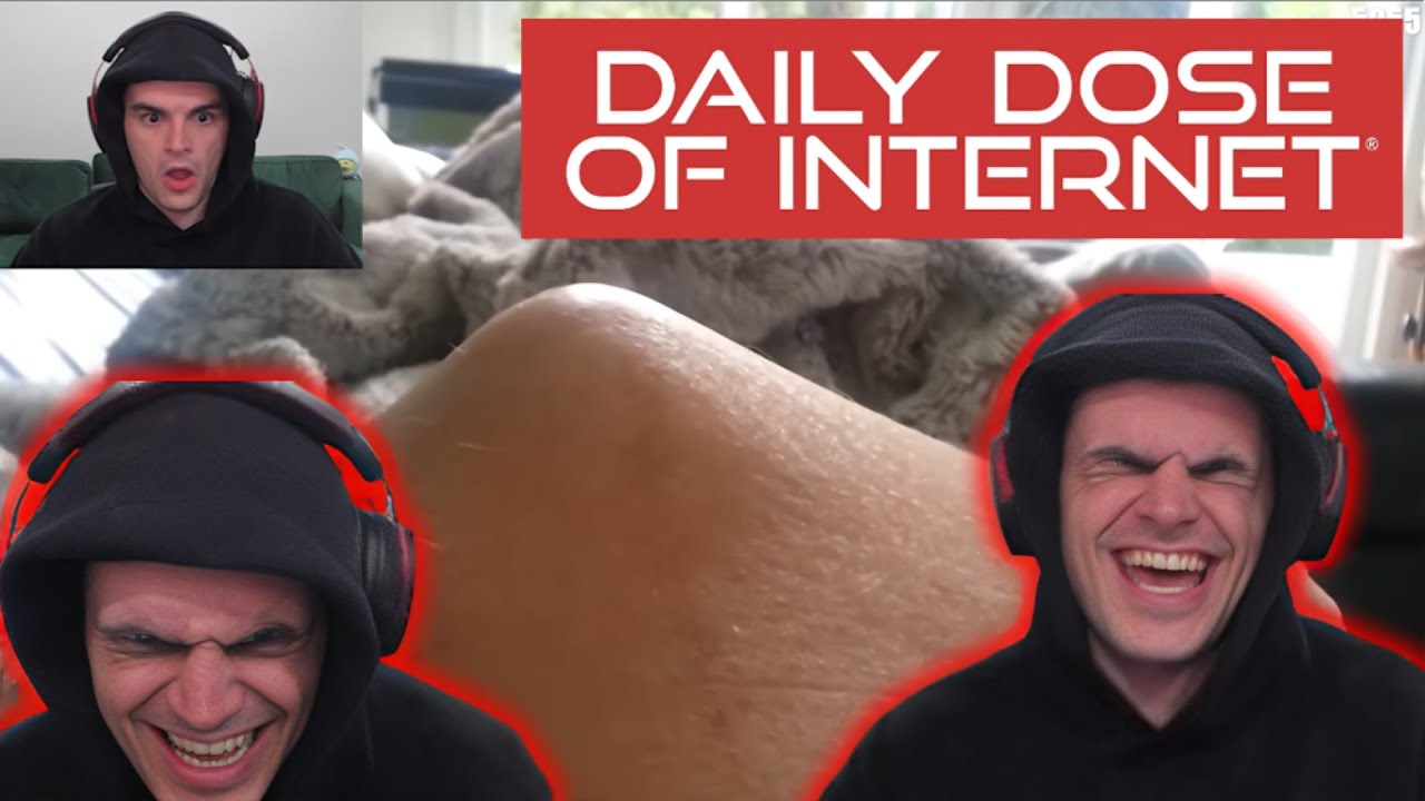 Foolish REACTS to Daily Dose of Internet and CANT STOP Laughing