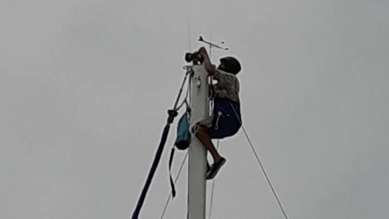 Update 4  - The new boat's rudder and mast